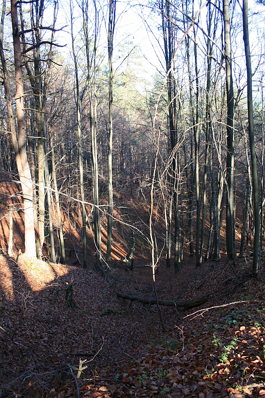 Rostoczek 11.2008 380
